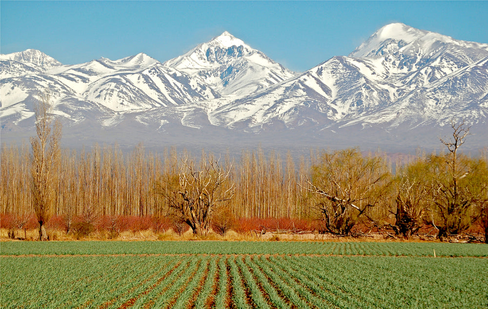 Argentina