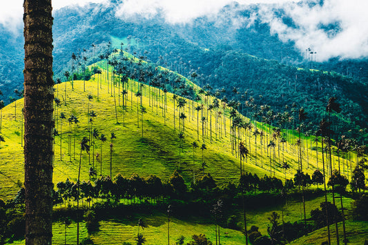 Colombia